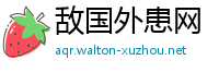 敌国外患网